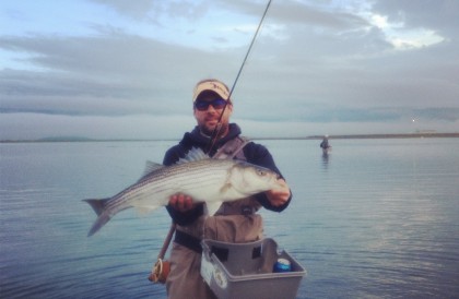 striped bass boston harbor fly fishing