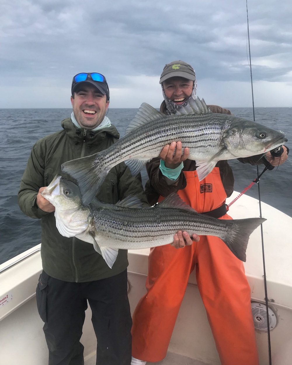 striped bass cape cod fly fishing