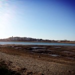 Boston harbor striped bass
