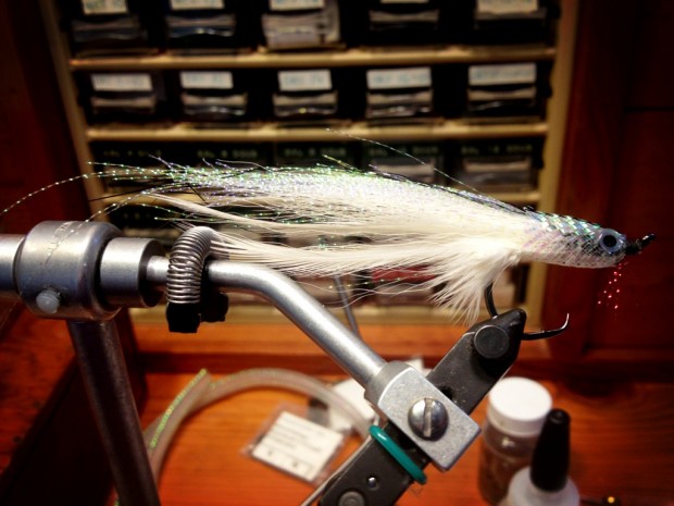 striped bass herring fly