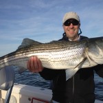 Striped bass on Cape Cod