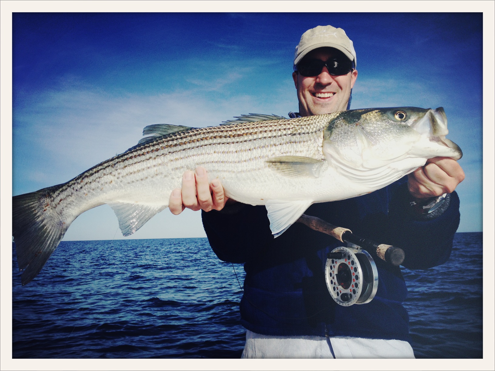 Chasing Birds, Striped Bass on Cape Cod | New England On The Fly