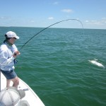 Tarpon fly fishing Boca Grande