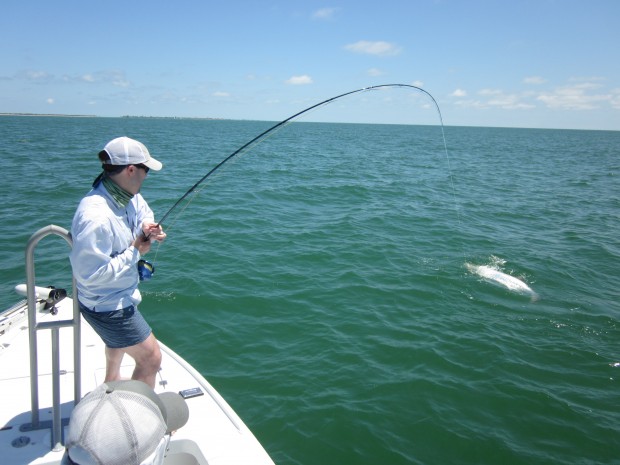 Tarpon fly fishing Boca Grande