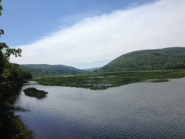 The Margaree River valley looking upriver from near the mouth.