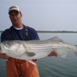 todd fedele striped bass