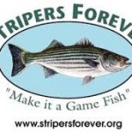 stripers forever