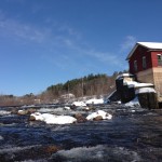 newfoundrivertroutfishing