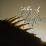 stripedbassfishingnantucket