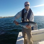 falsealbacorewatchhillrhodeislandflyfishing
