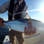 flyfishingalbieswatchhill