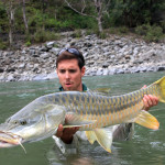 mahseerflyfishingsaryuindia