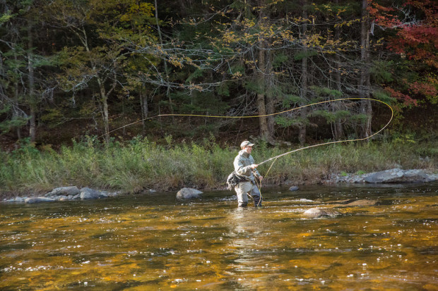 bamboo  New England On The Fly