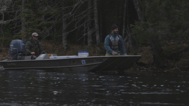 Stocking East Machias River with Department of Marine Resources - Kyle Winslow and Colby Bruchs