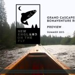 grandcascapediaatlanticsalmonvideo