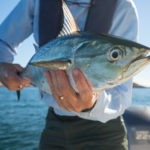 flyfishingfalsealbacoreconnecticut-bencarmichael-webres-25-of-32