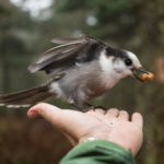 tenkaratroutfishingnewengland-1-of-1-2