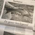 bencarmichaelflyfishingnewengland-bostonglobe-950x950