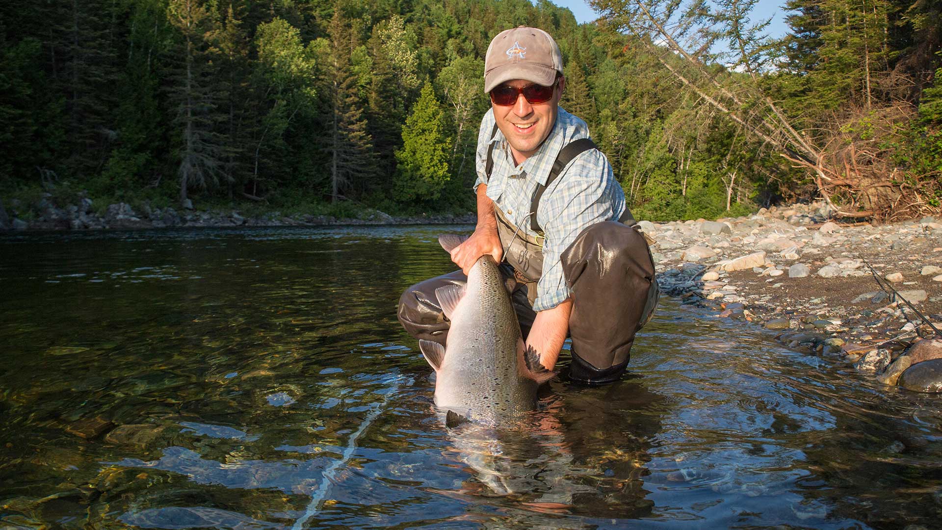 Atlantic salmon | New England On The Fly