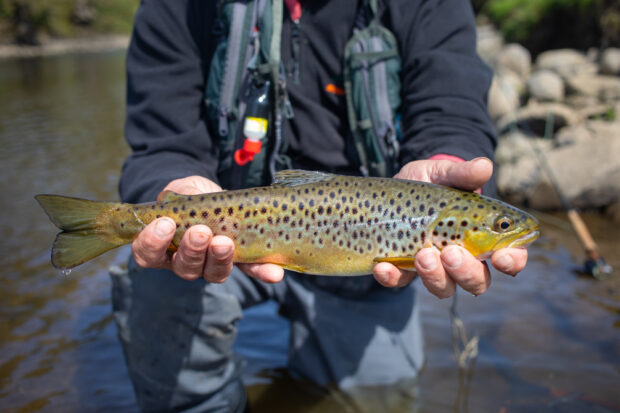 LakeDistrictTroutFishing